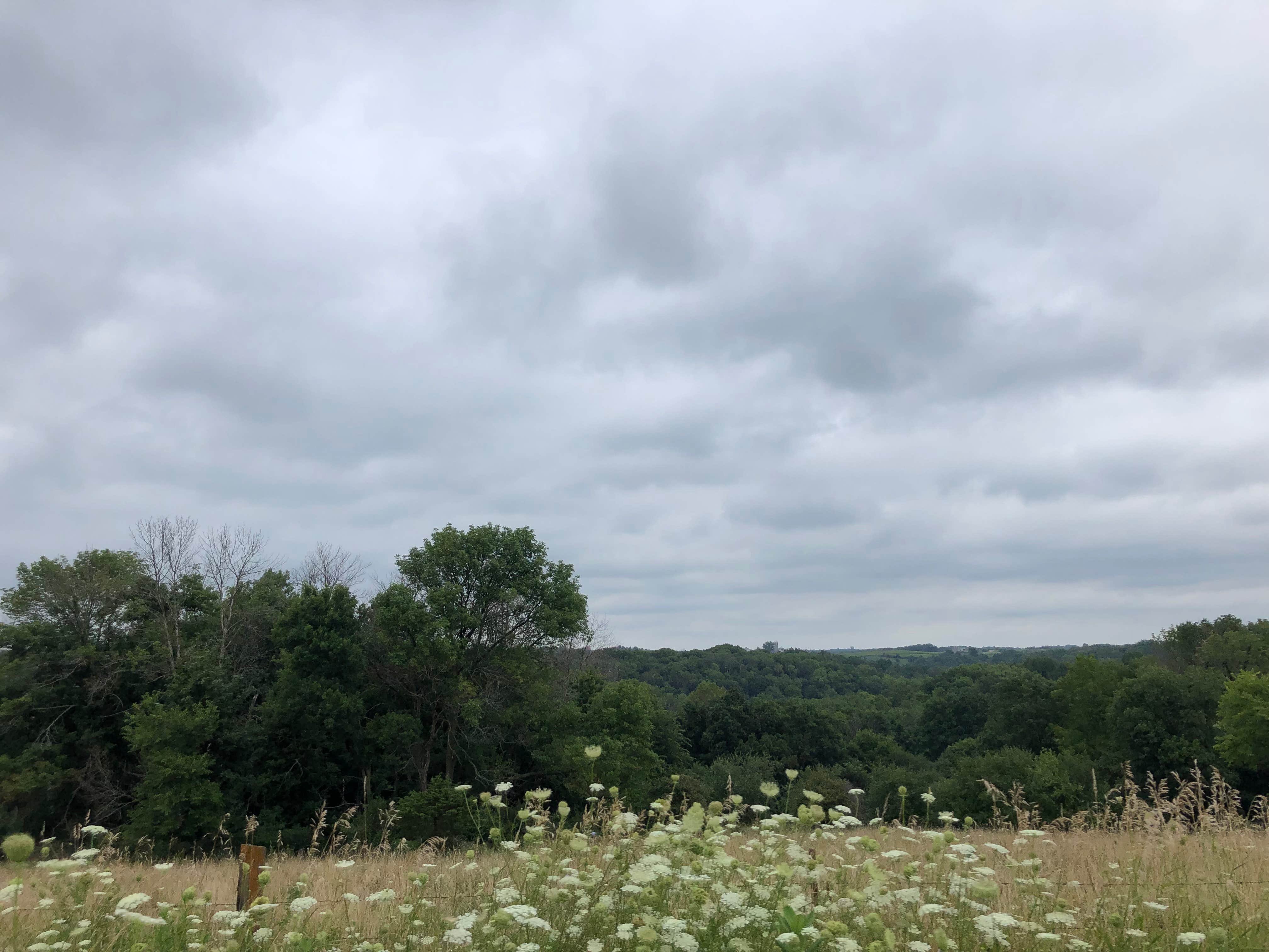 Camping near The Catfish Place Campground: River Valley Horsecamp, Farmington, Iowa