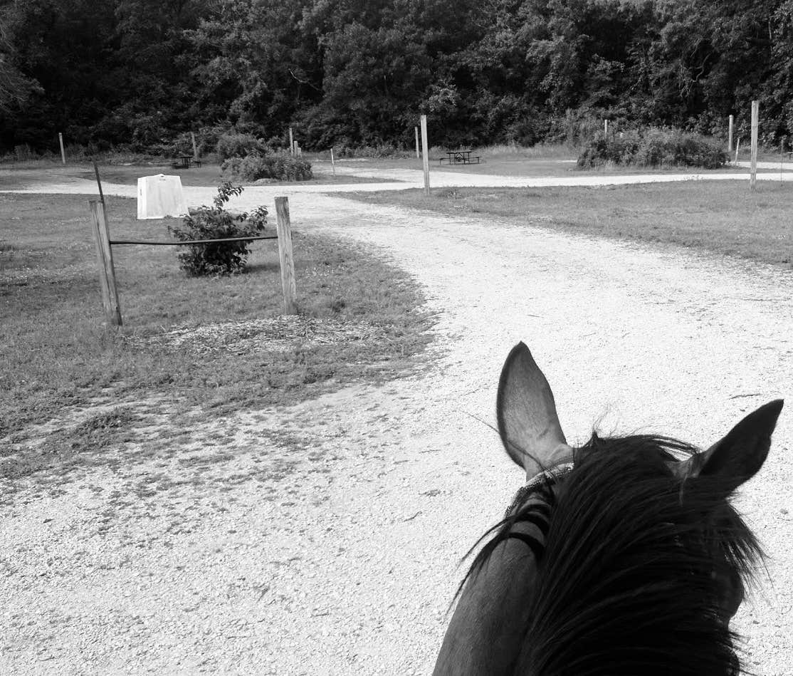 Lesley R.'s photo of camping with a horse at Northern Unit New Prospect Horseriders Campground — Kettle Moraine State Forest-Northern Unit-Iansr near Waupun, WI