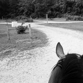 Review photo of Northern Unit New Prospect Horseriders Campground — Kettle Moraine State Forest-Northern Unit-Iansr by Lesley R., October 29, 2022