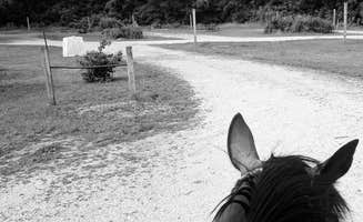 Lesley R.'s photo of camping with a horse at Northern Unit New Prospect Horseriders Campground — Kettle Moraine State Forest-Northern Unit-Iansr near Cascade, WI