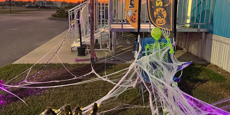 Camper submitted image from Lake Charles RV Resort