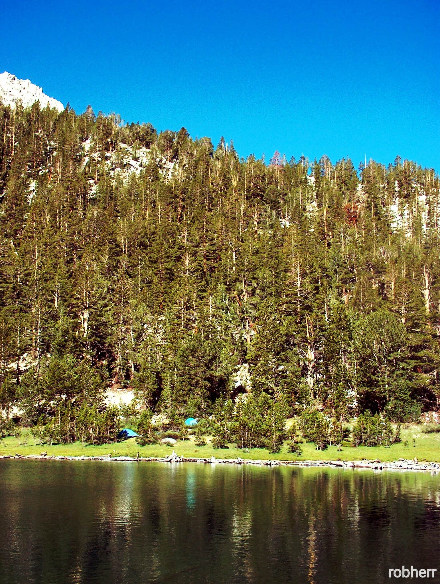 Camper-submitted photo at 4th Recess Lake - John Muir Wilderness near Mono Hot Springs, CA