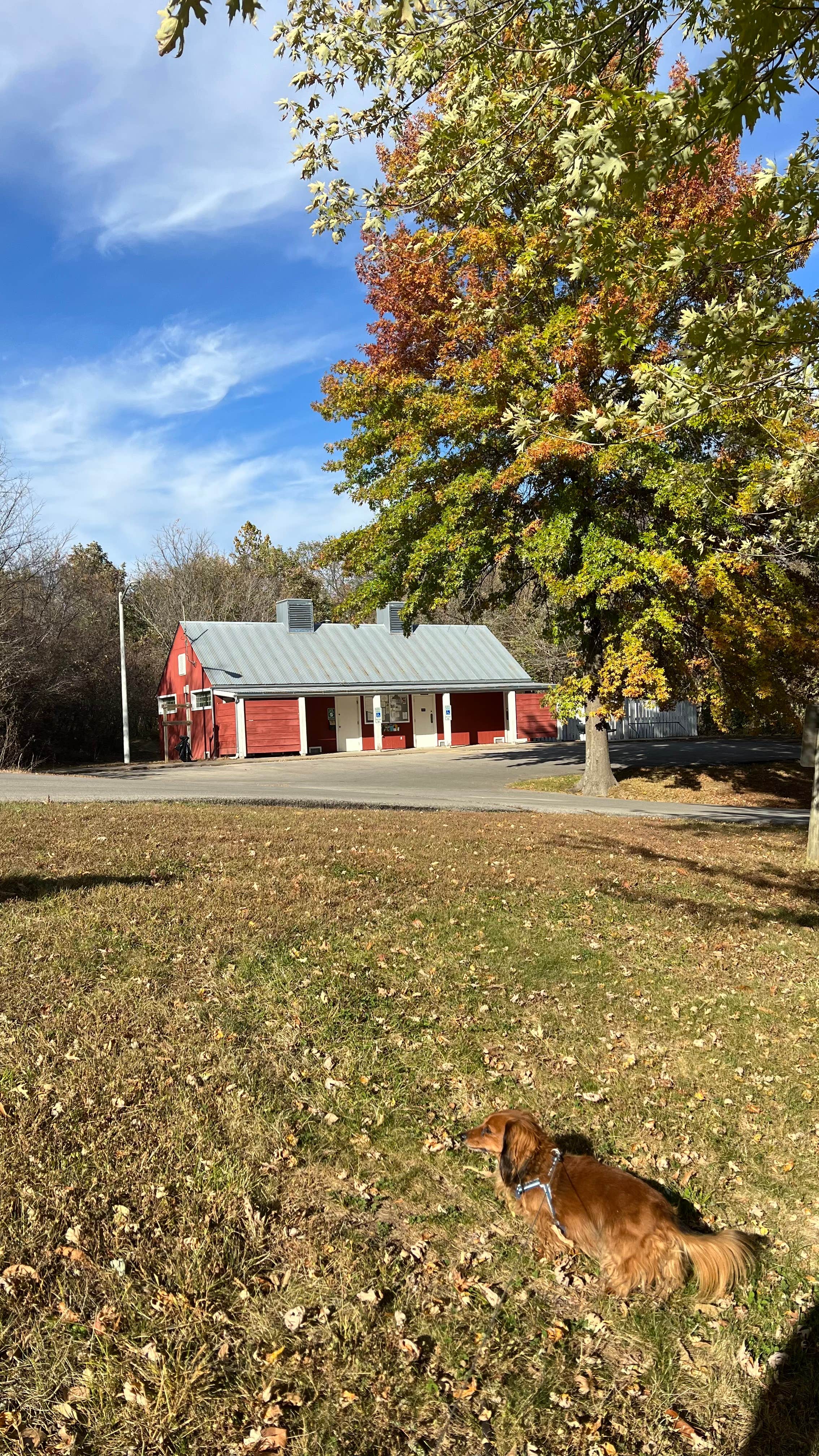Cari E.'s photo of camping with pets at Weston Bend State Park Campground near Smithville, MO