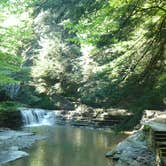 Review photo of Watkins Glen State Park Campground by Elliott B., August 8, 2016