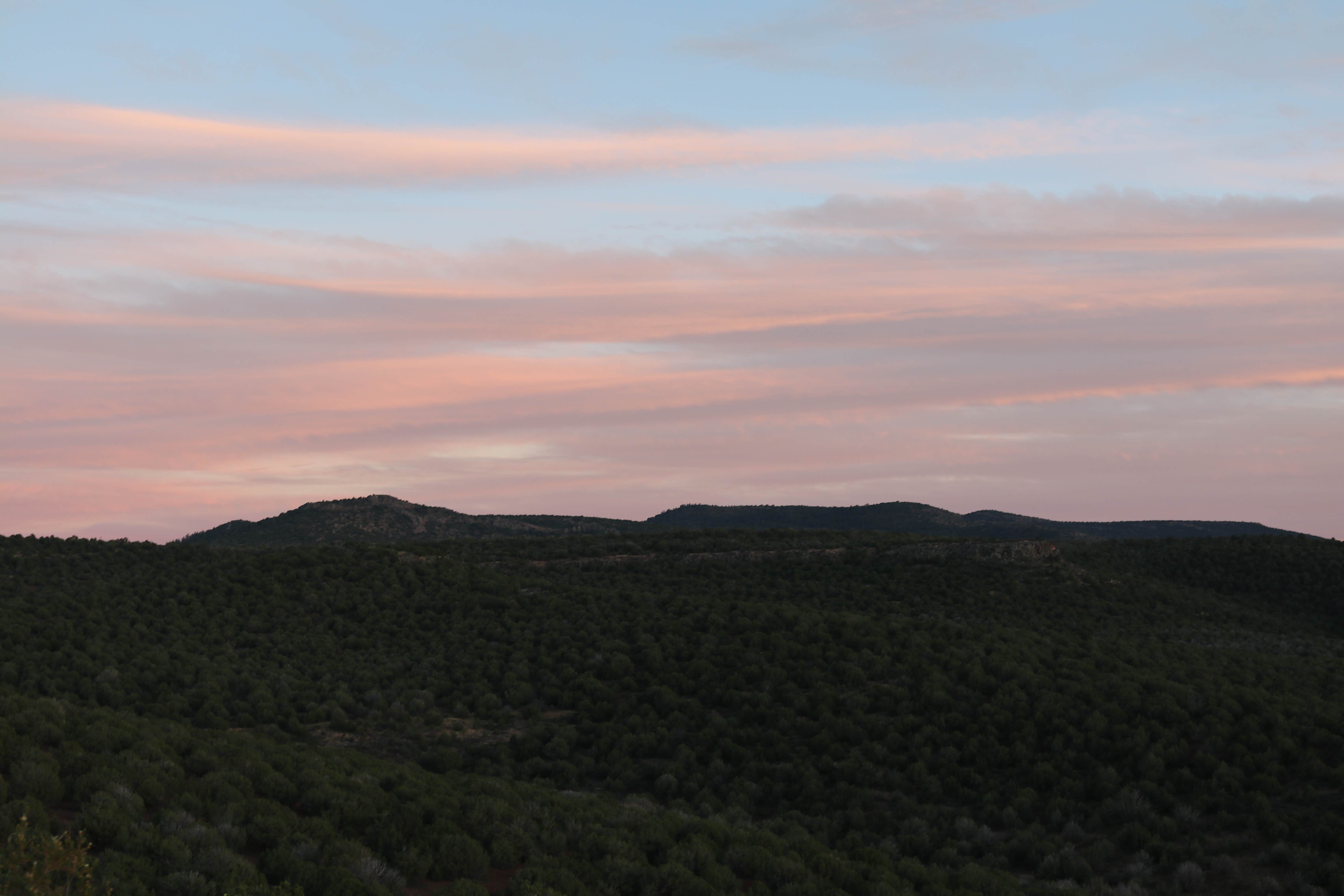 Benjamin T.'s photo of a dispersed camping area at Kaibab National Forest near Paulden, AZ