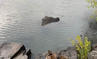 Kathy B.'s photo of camping with pets at Morgan Lake - TEMPORARILY CLOSED near La Grande, OR
