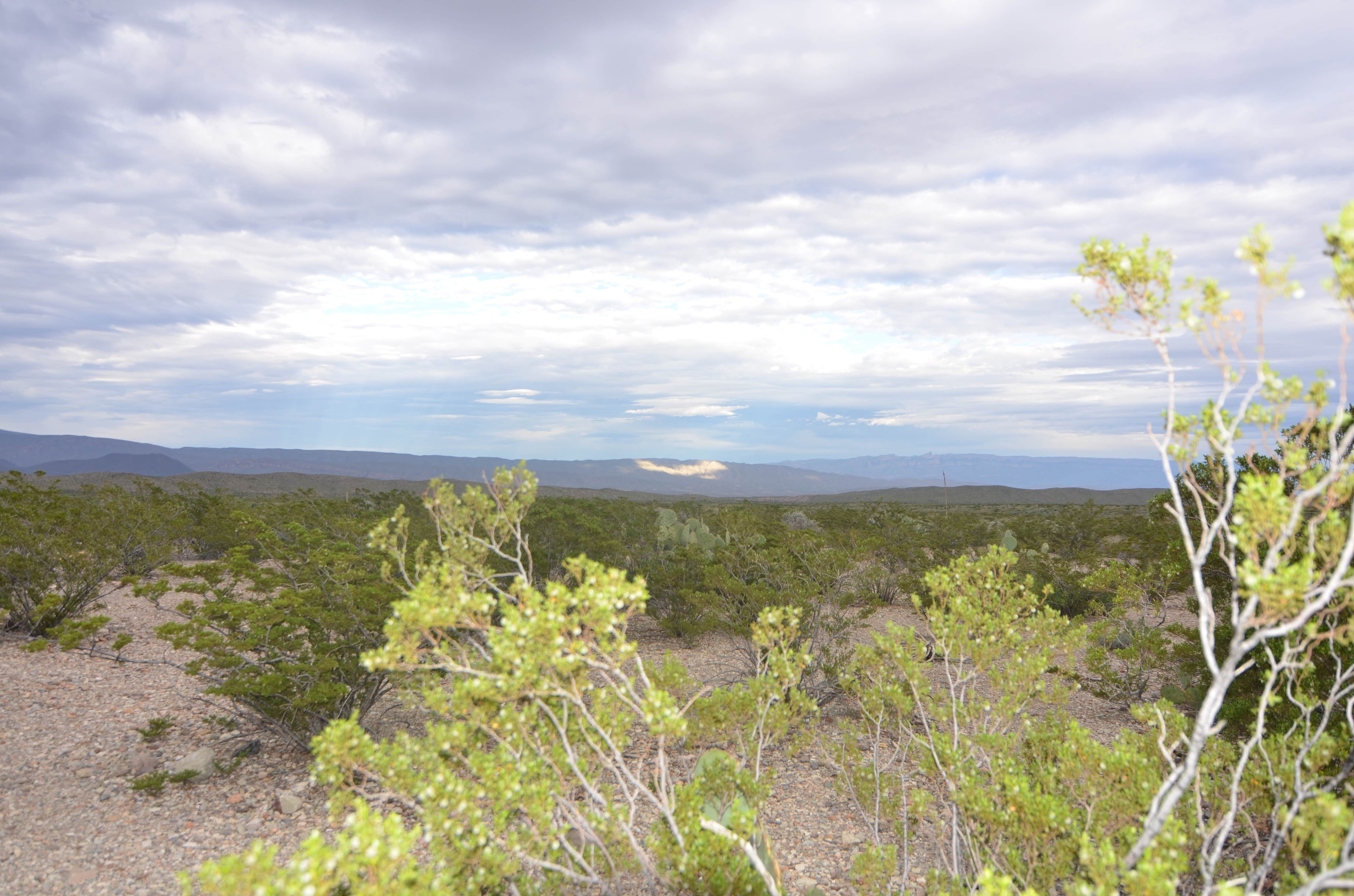 Camper submitted image from K-Bar 2 — Big Bend National Park - 2