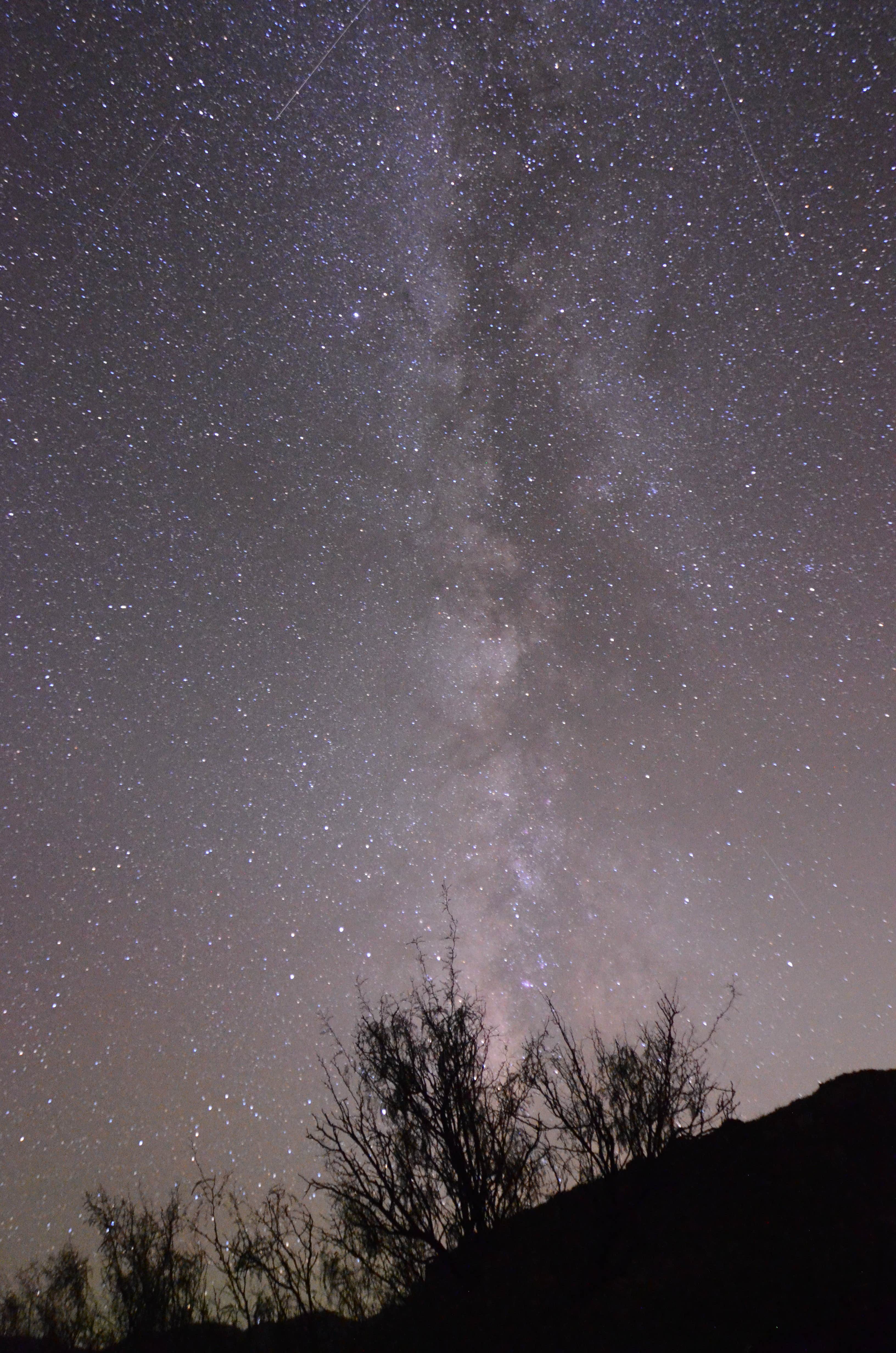 Camper submitted image from River District Arenosa — Big Bend Ranch State Park - 1