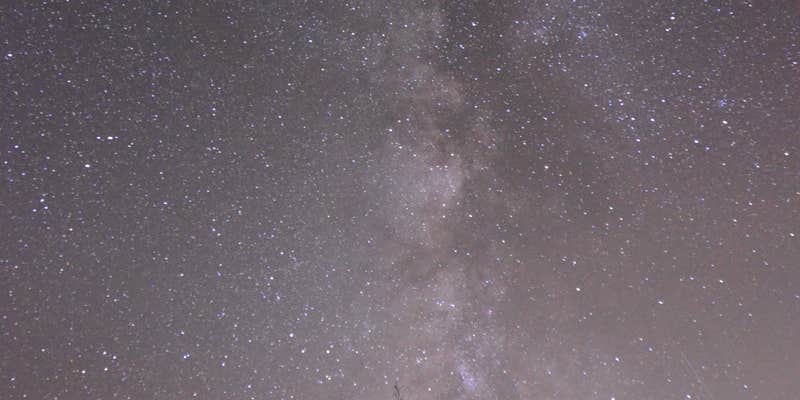 Camper submitted image from River District Arenosa — Big Bend Ranch State Park