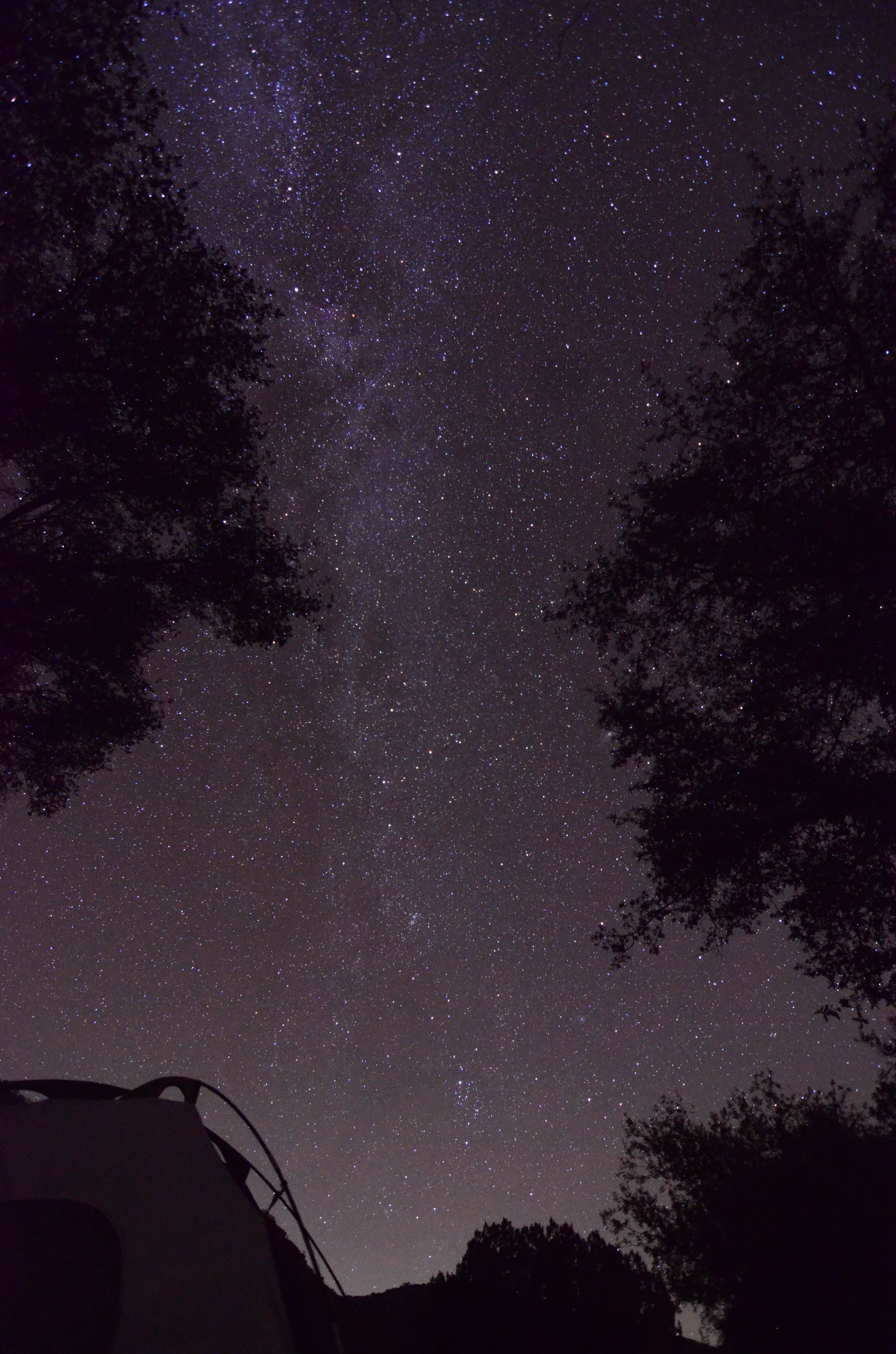 Rick G.'s photo of tent camping at Davis Mountains State Park Campground near Balmorhea, TX