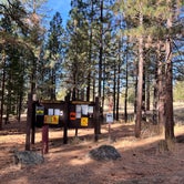 Review photo of Lower Rush Creek Campground by Aliza  N., October 27, 2022