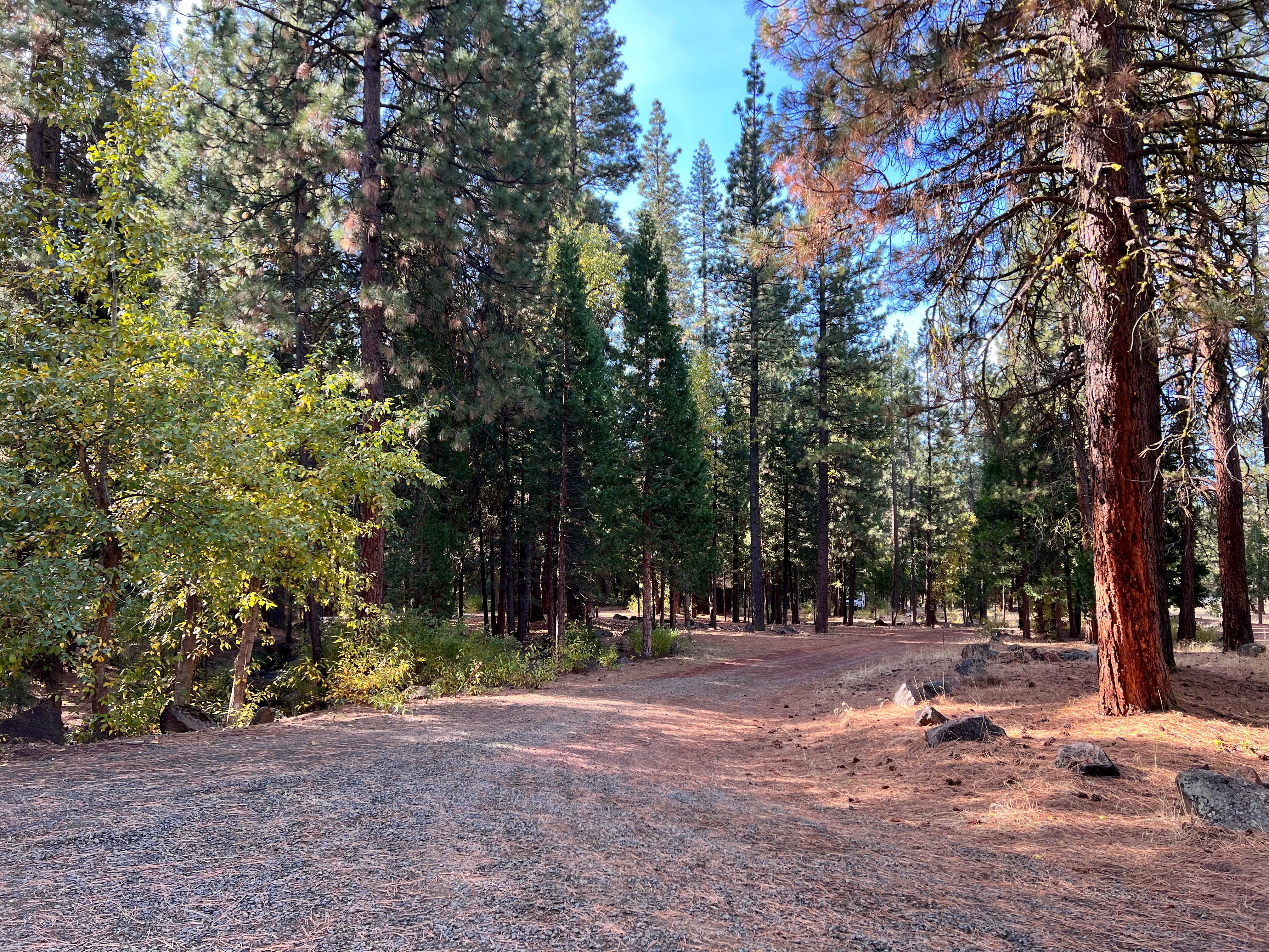 Camper-submitted photo at Lower Rush Creek Campground near Davis Creek, CA