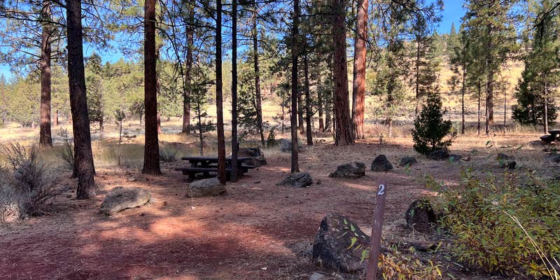 Camper submitted image from Lower Rush Creek Campground