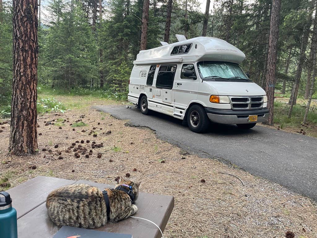 Camping near Wendover Campground: Quartz Flat Campground, Alberton, Idaho