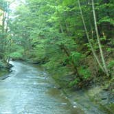 Review photo of Watkins Glen State Park Campground by Elliott B., August 8, 2016