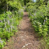 Review photo of Wayfarers State Park by Kathy B., October 30, 2022