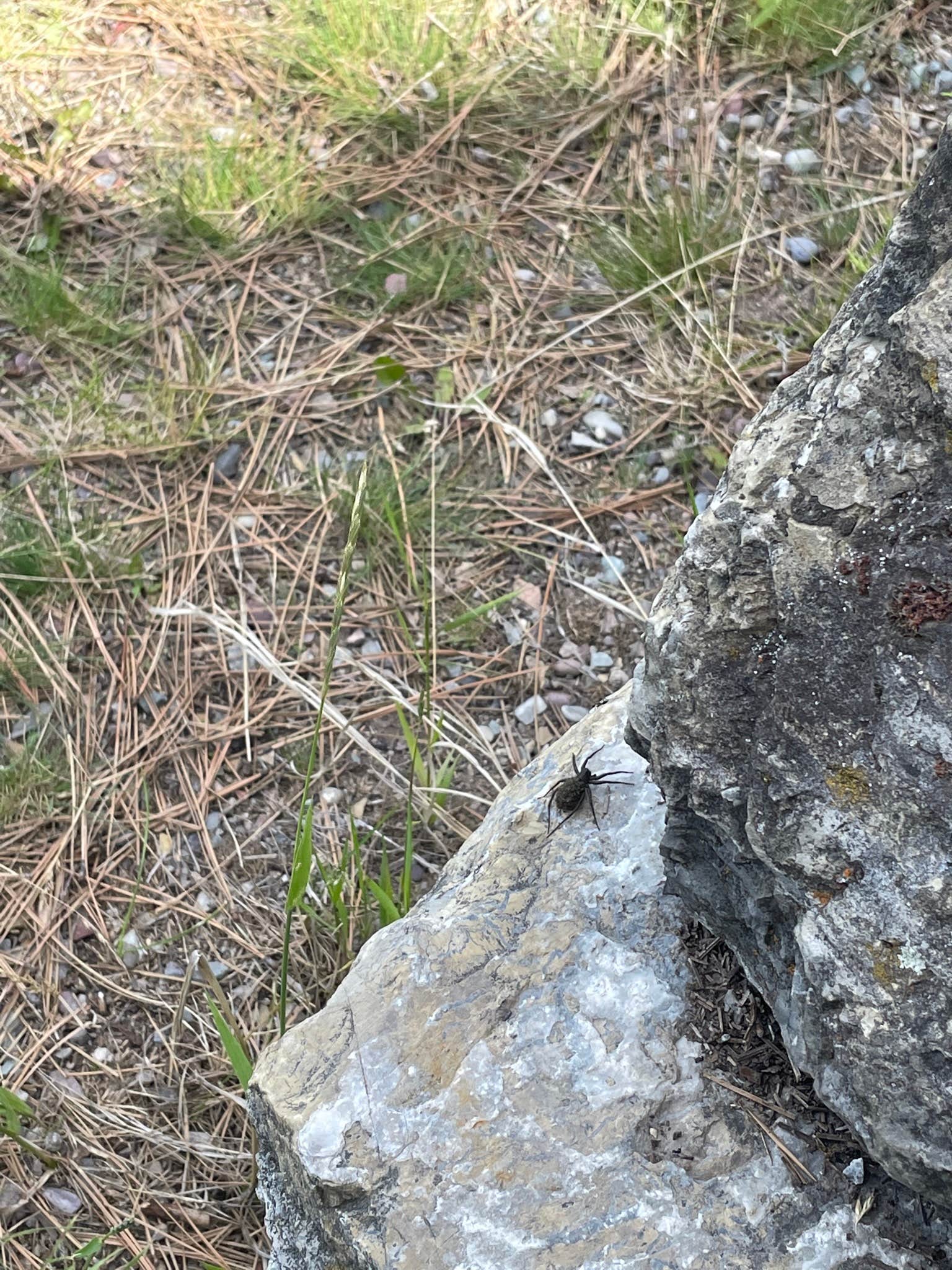 Camper-submitted photo at Big Arm State Unit — Flathead Lake State Park near Flathead National Forest