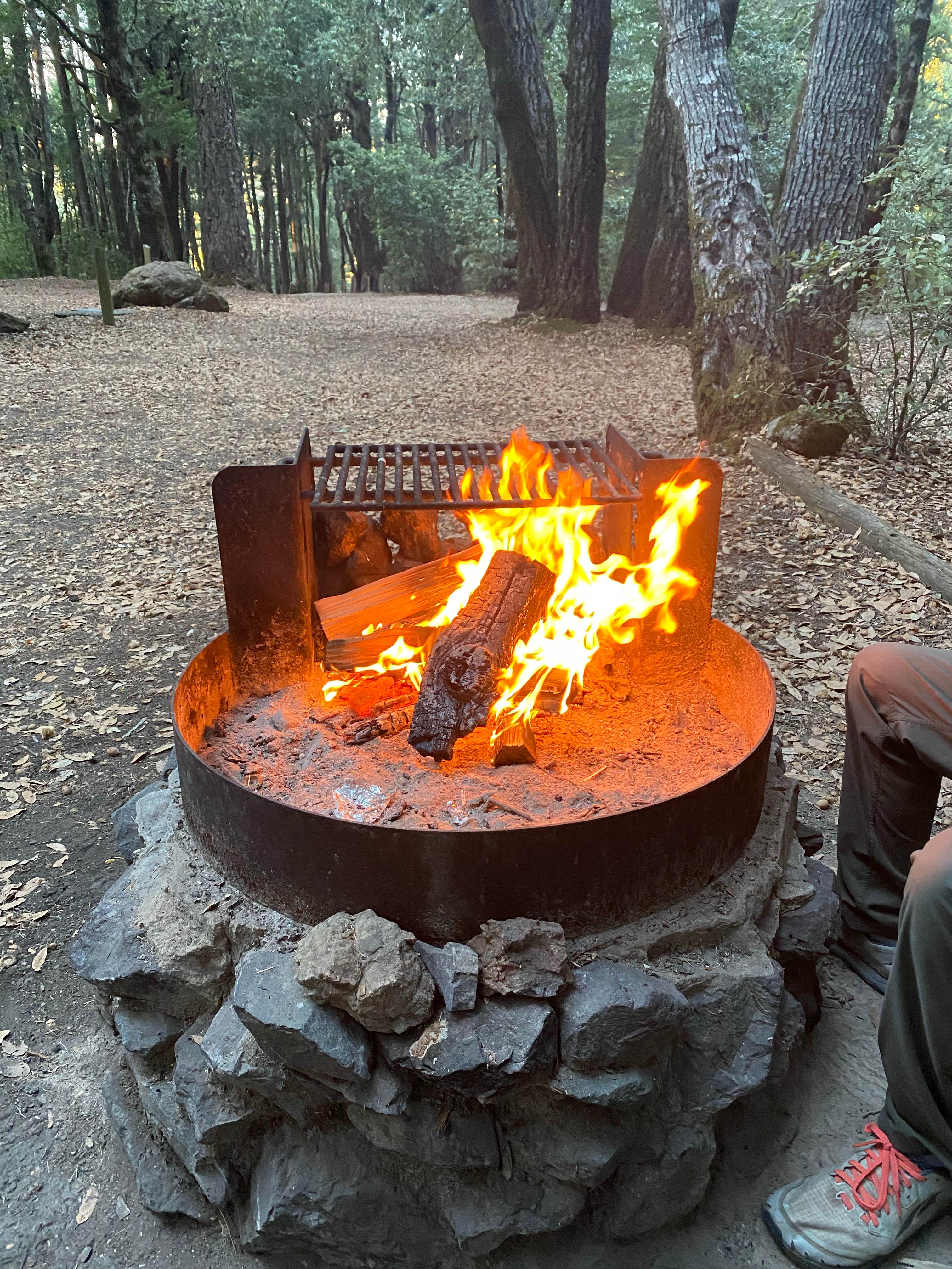 Camper-submitted photo at Tolkan Campground near King Range National Conservation Area