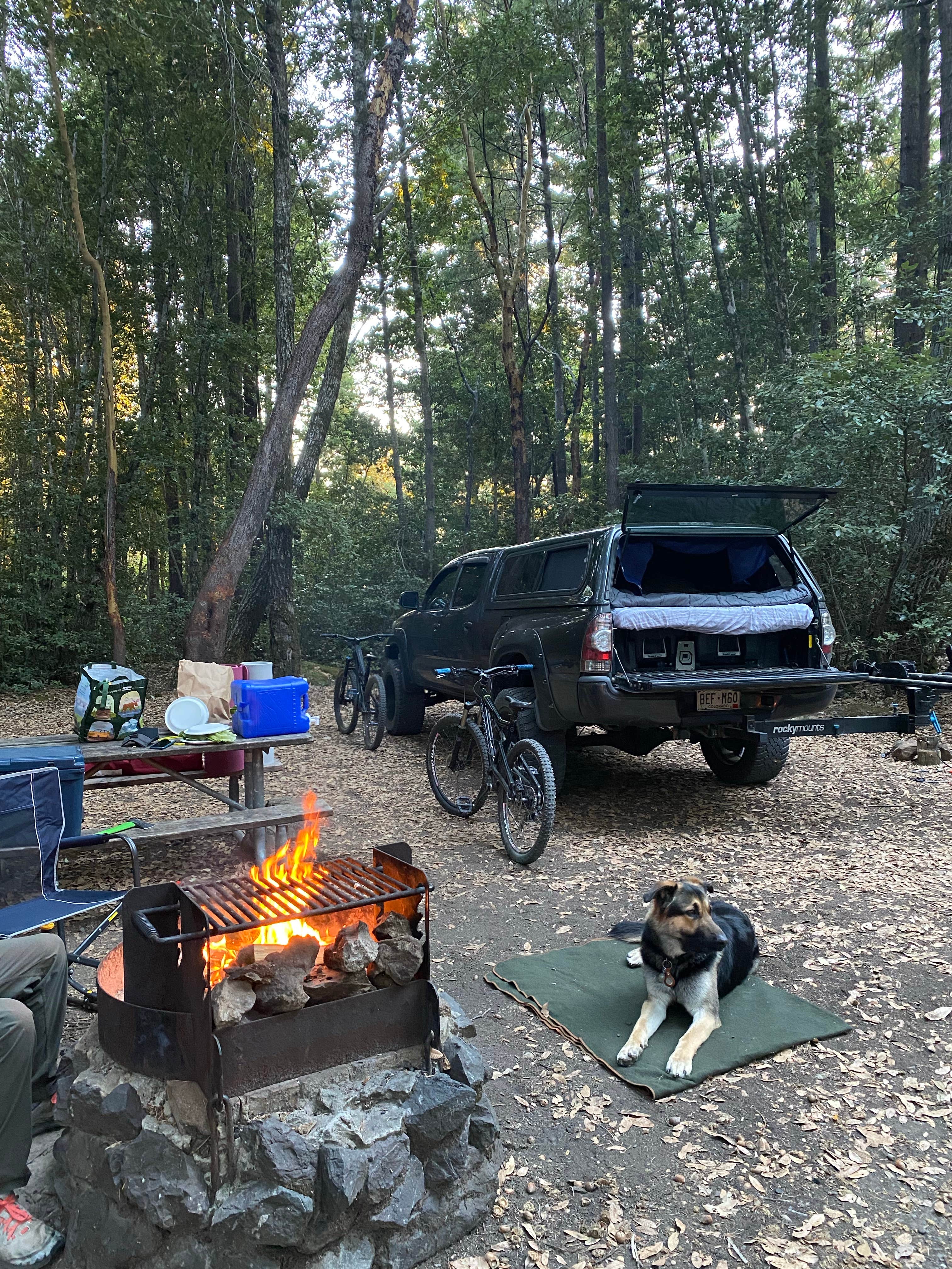 Luke M.'s photo at Tolkan Campground near Leggett, CA