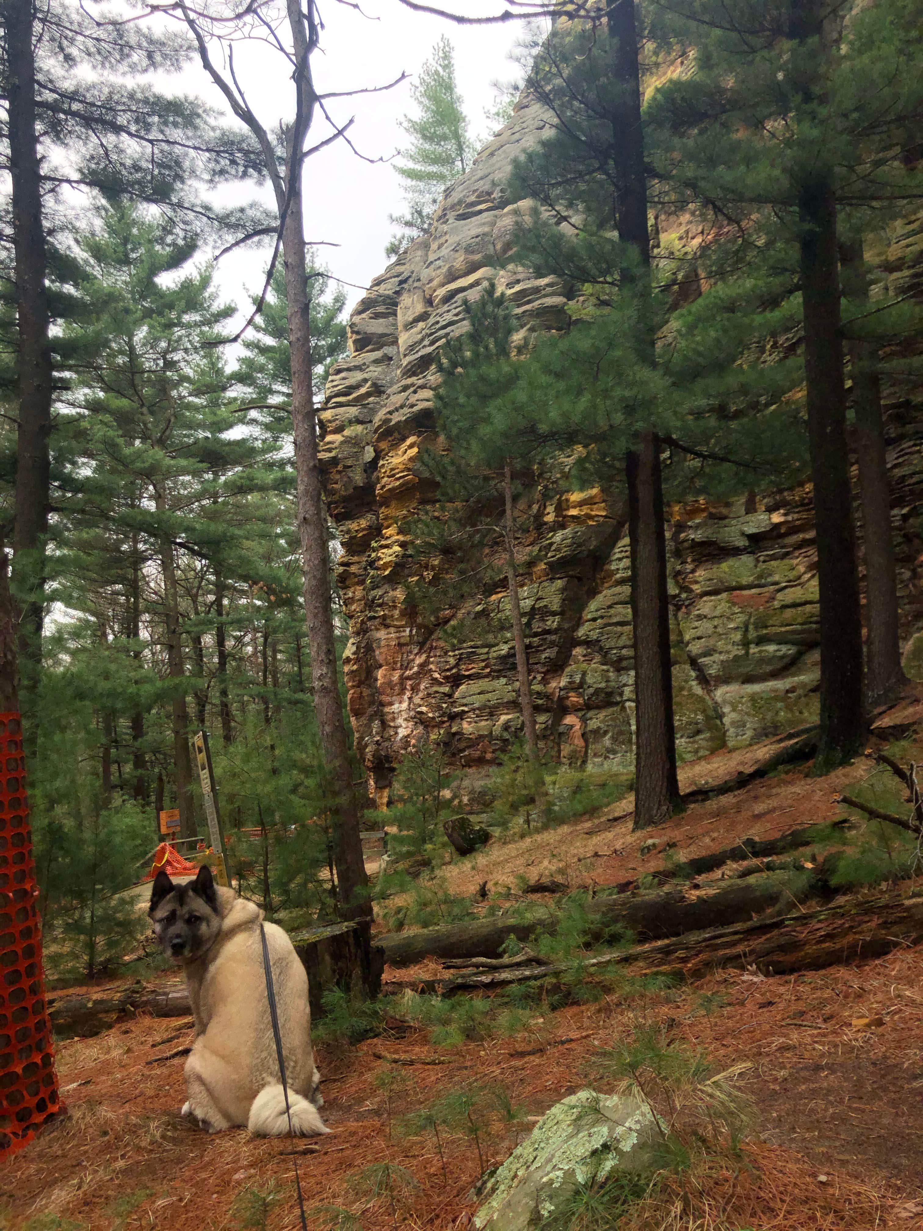 Lesley R.'s photo of camping with pets at Roche A Cri State Park Campground near Waupaca, WI