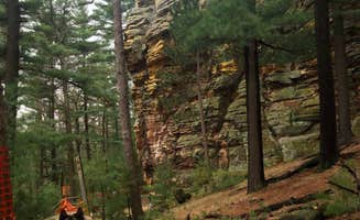 Lesley R.'s photo of camping with pets at Roche A Cri State Park Campground near Nekoosa, WI