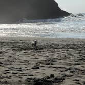 Review photo of Quileute Oceanside Resort by Brandie , October 30, 2022