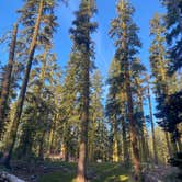 Review photo of Red Fir Flat Group Campground by haelie A., October 30, 2022