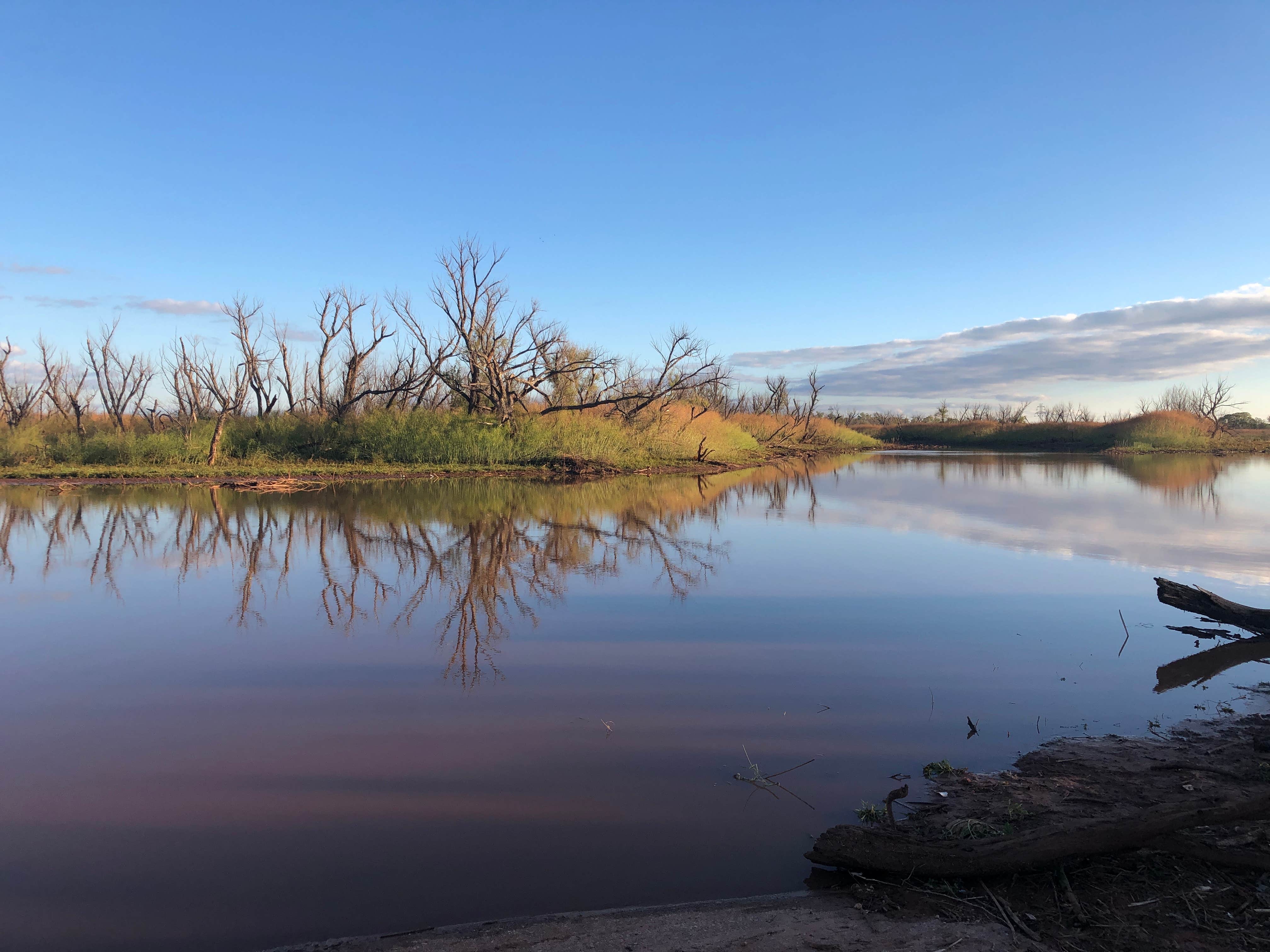 Camper submitted image from SeaBee Park - 5