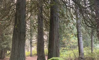 Lauren's photo at Knife Edge Campground in Idaho