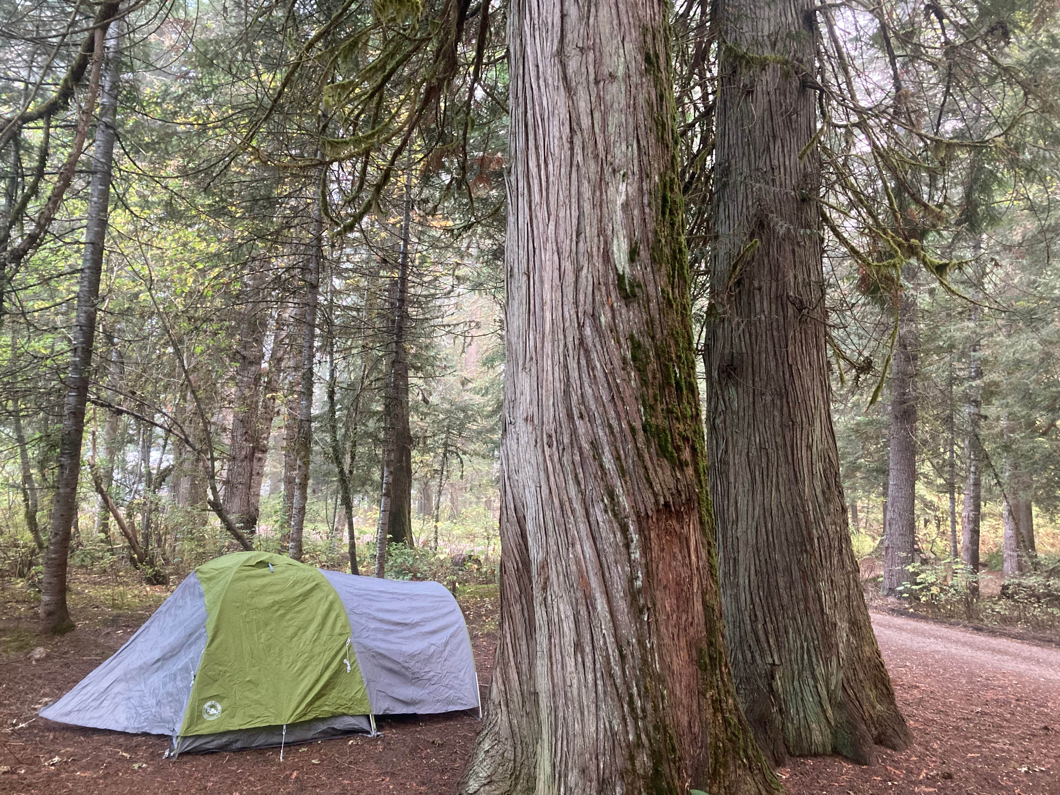 Camping near Johnson Bar Group Site: Knife Edge Campground, Nez Perce-Clearwater National Forests, Idaho