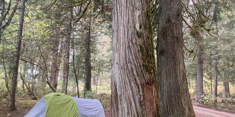 Camper submitted image from Knife Edge Campground