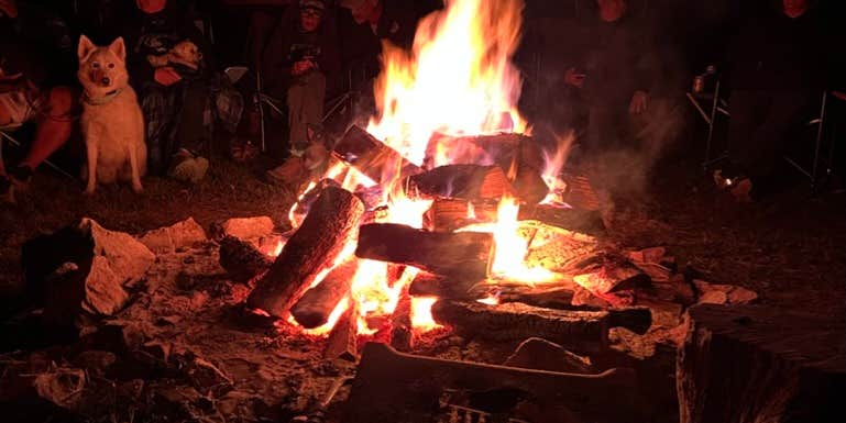 Camper submitted image from Colson Hollow Group Camp Land Between the Lakes