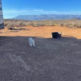 Review photo of Hurricane Cliffs BLM Dispersed Sites 20-35 spur by Nicole B., October 31, 2022