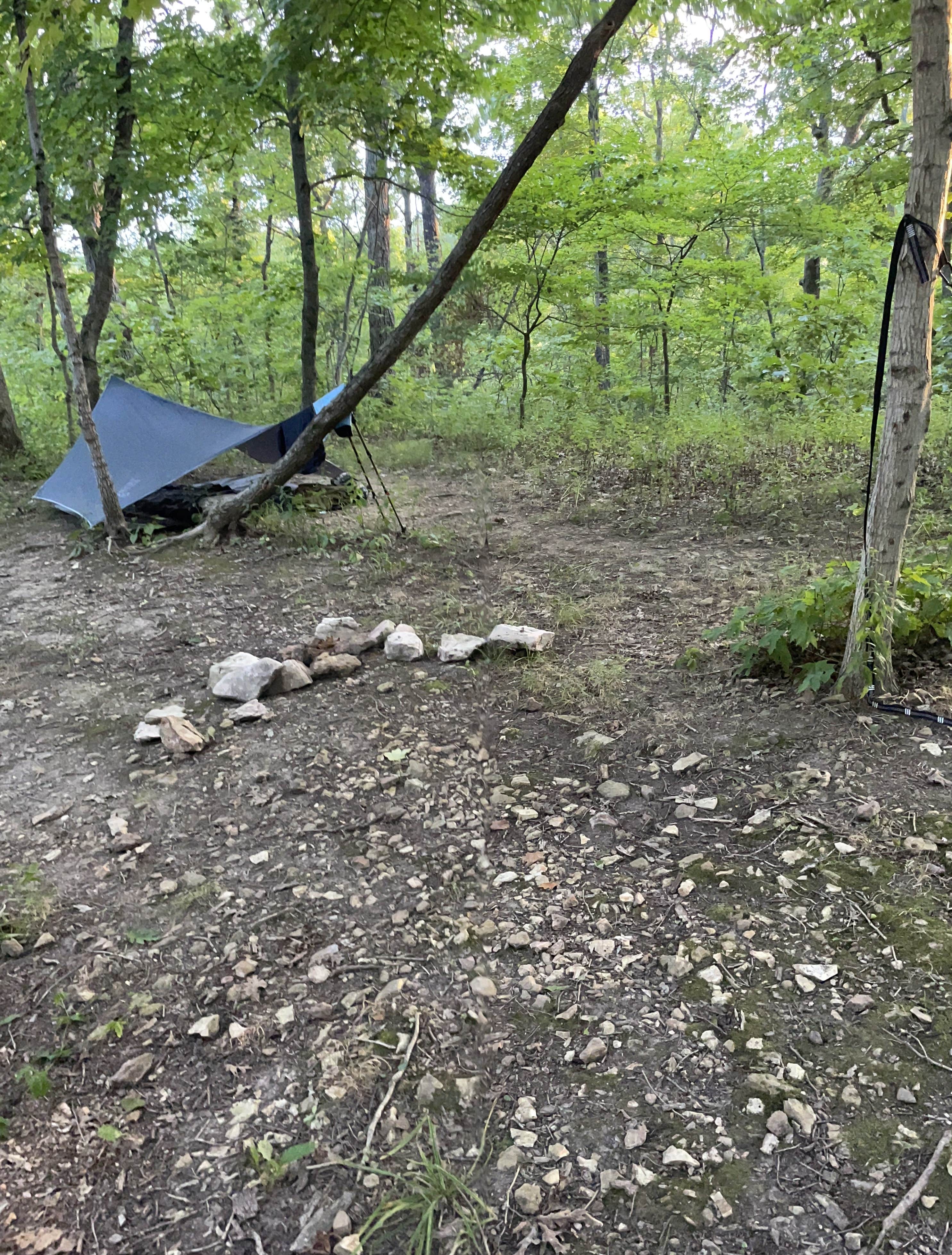 Michael  M.'s photo of a dispersed camping area at Lone Spring Trail Backpacking Campsite(s) near Lake St. Louis, MO