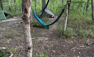 Michael  M.'s photo at Lone Spring Trail Backpacking Campsite(s) near Kampsville, IL