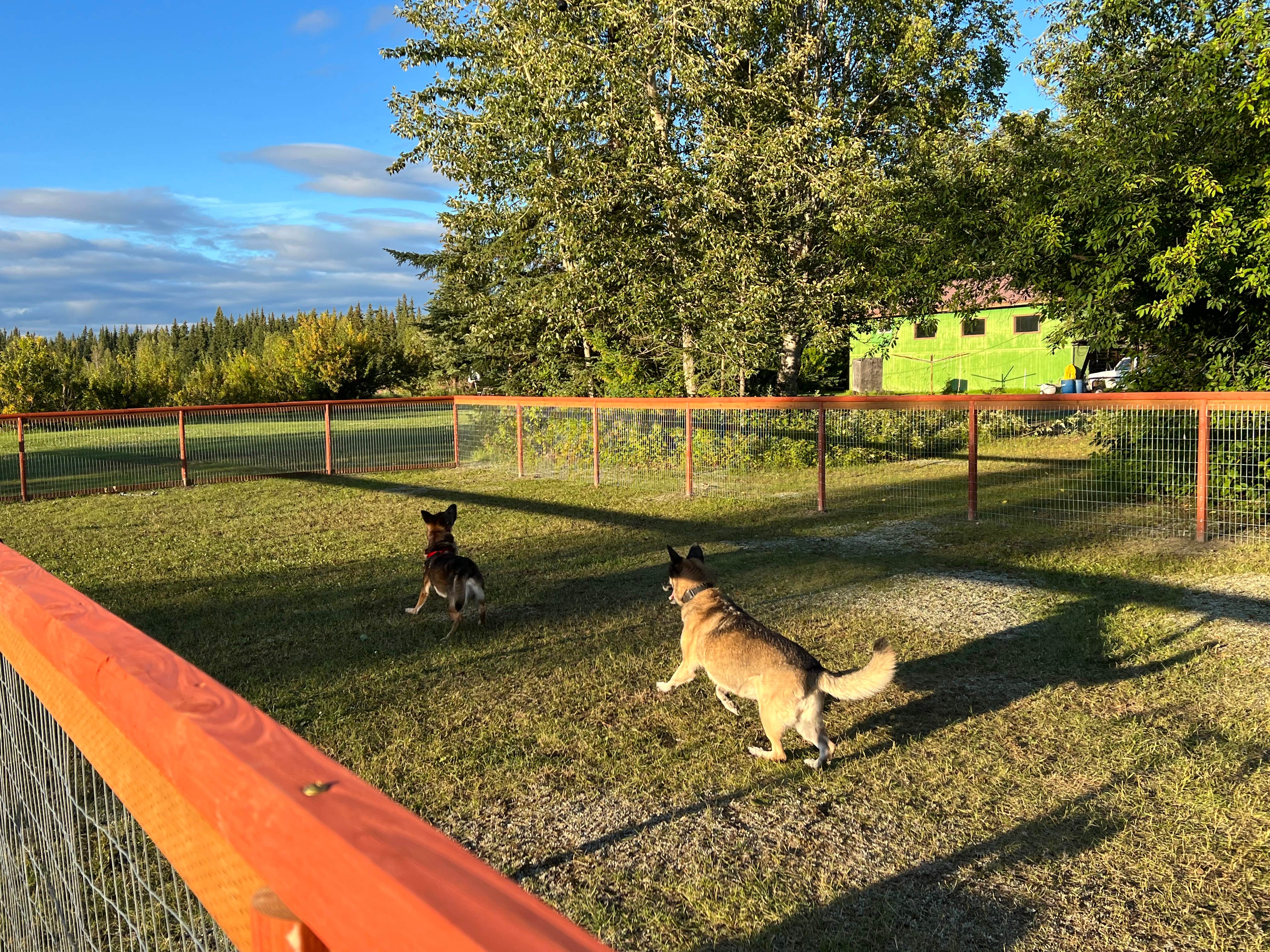 Markus H.'s photo of camping with pets at Fairbanks / Chena River KOA near Eielson AFB, AK