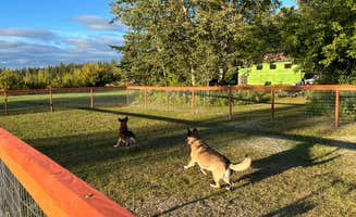 Markus H.'s photo of camping with pets at Fairbanks / Chena River KOA near Fort Wainwright, AK
