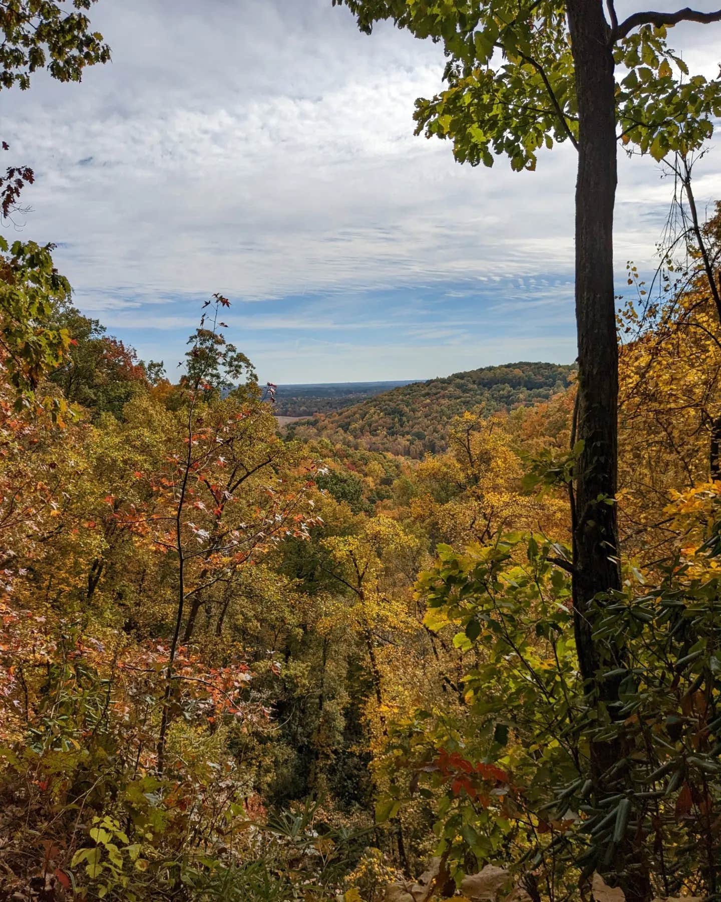 Camper submitted image from Keowee Falls RV Park - 1