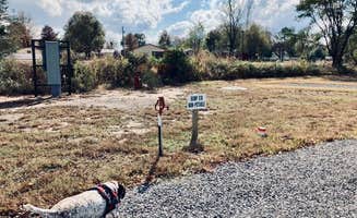 MickandKarla W.'s photo of camping with pets at Lambert's Cafe RV Park near Springfield, MO