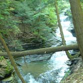 Review photo of Watkins Glen State Park Campground by Elliott B., August 8, 2016
