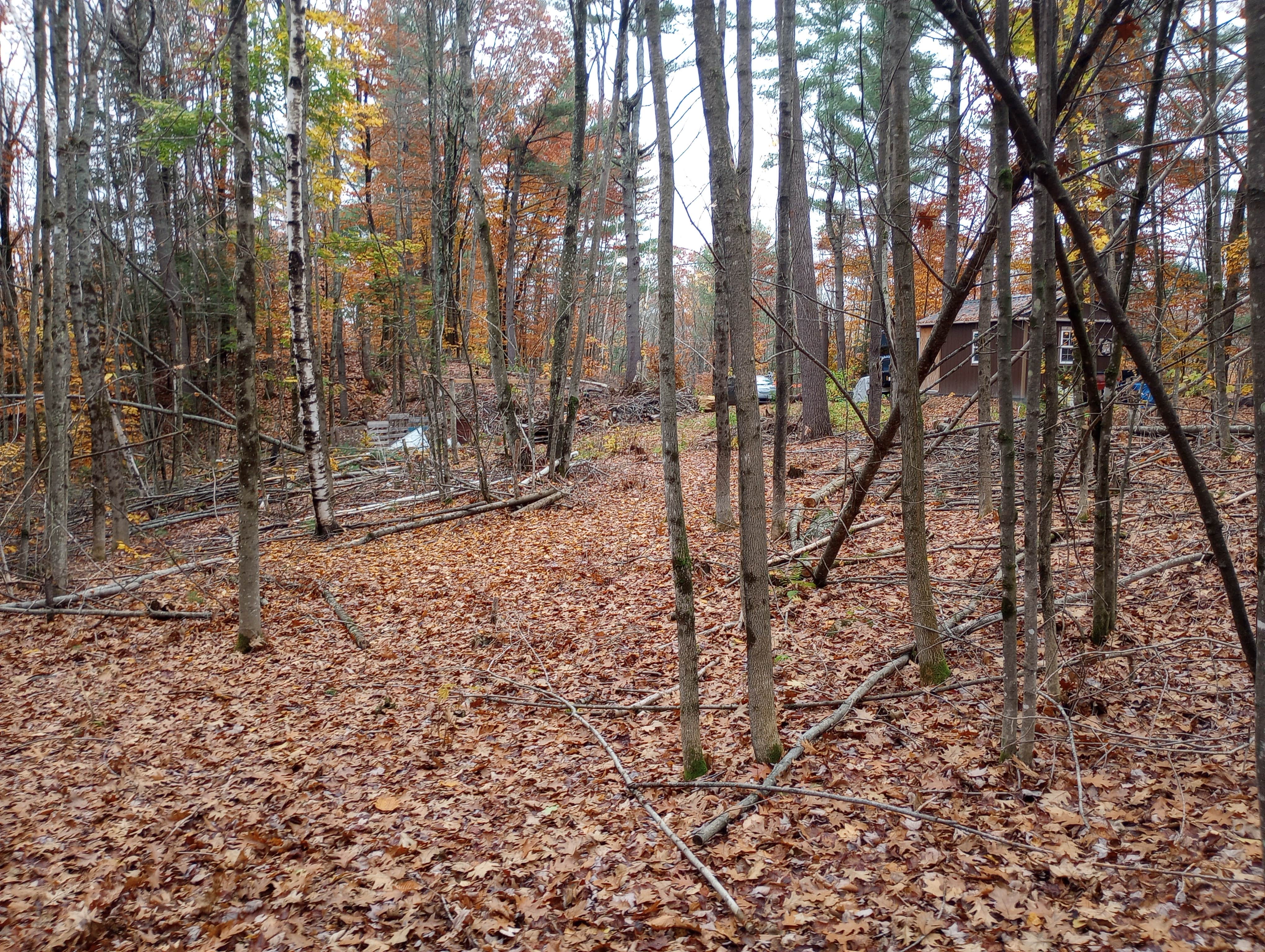Camping near More to Life Campground: Spruce Ranch, Jay, Maine