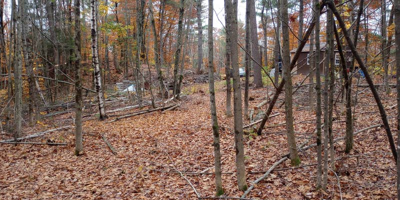 Camper submitted image from Spruce Ranch