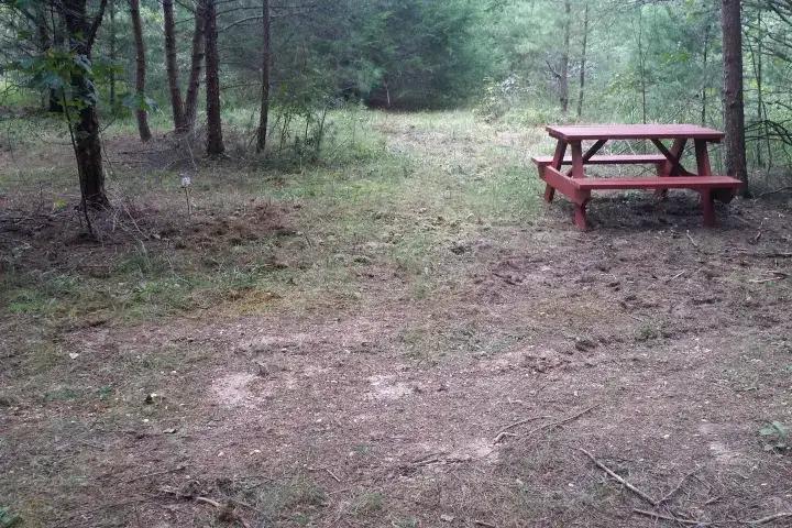 Camper-submitted photo at Labyrinth, Trails, and Solitude near Stevensburg, VA