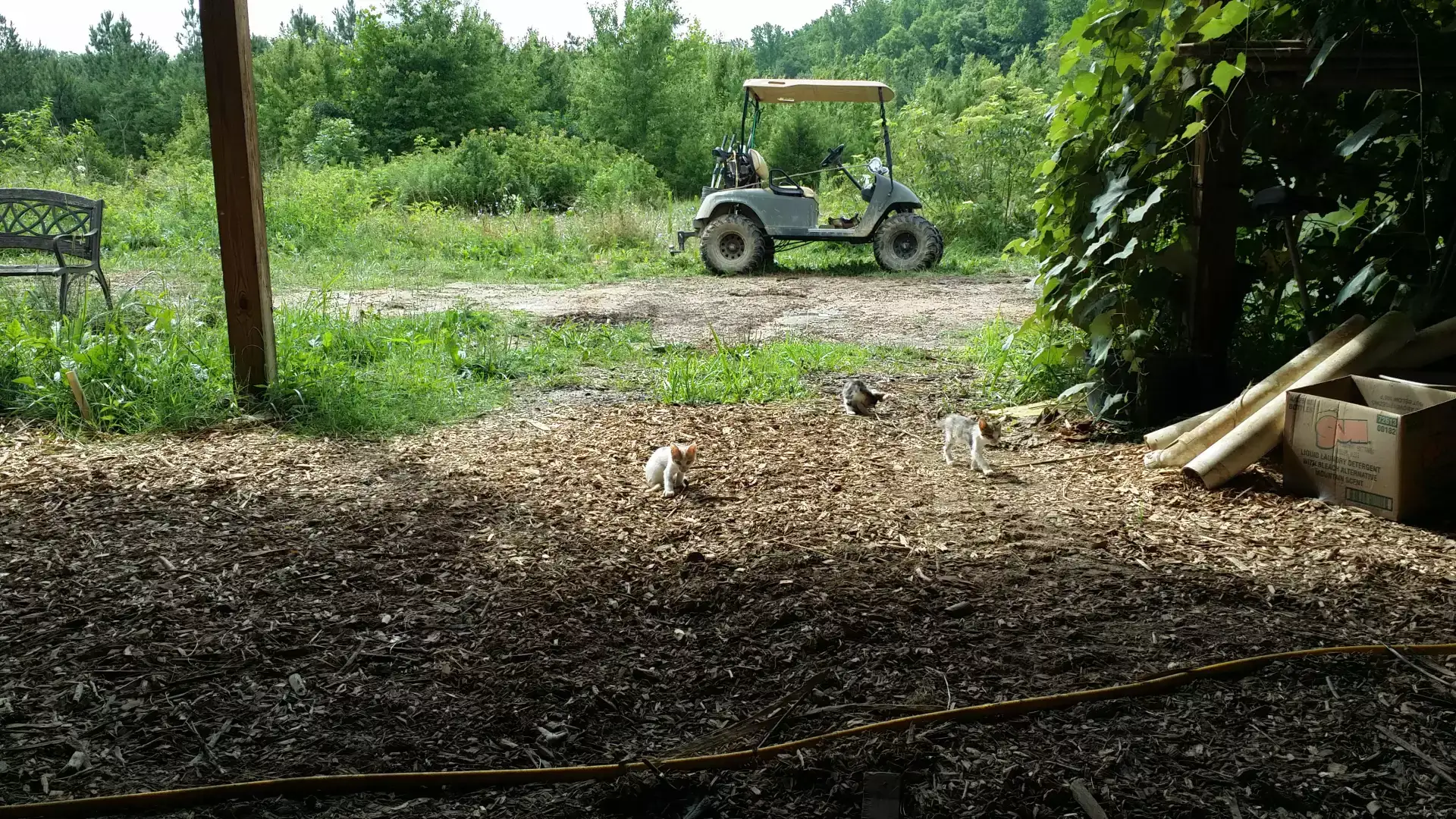 Camper-submitted photo at Labyrinth, Trails, and Solitude near Stevensburg, VA