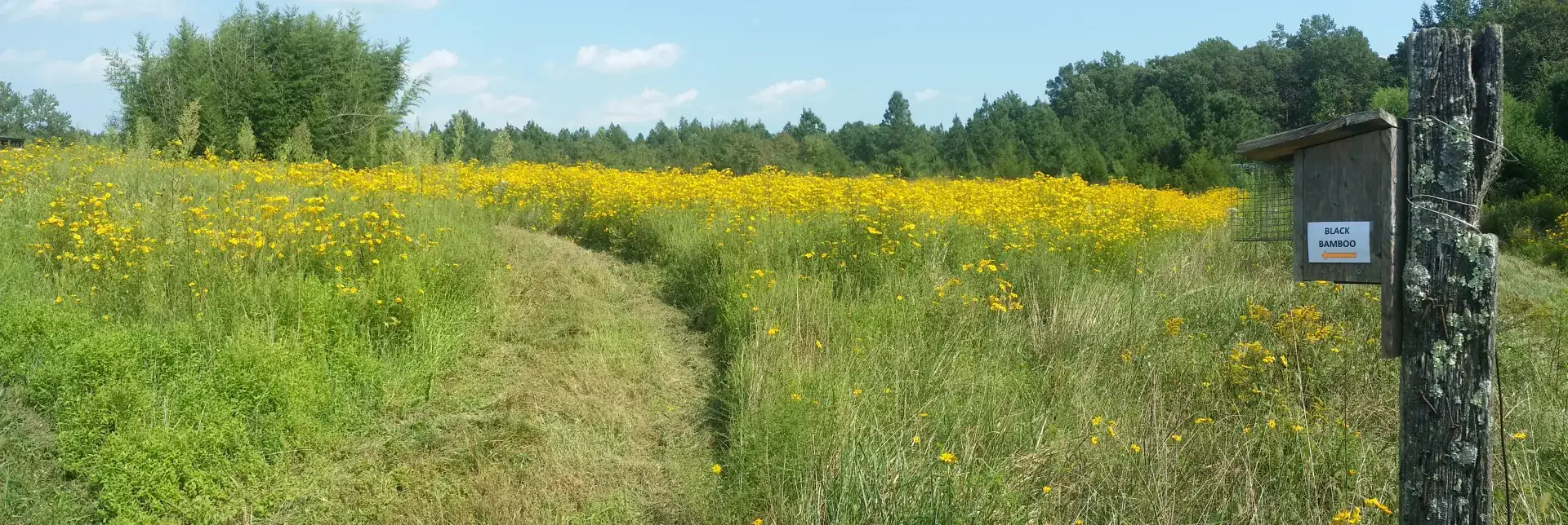 Camper-submitted photo at Labyrinth, Trails, and Solitude near Stevensburg, VA