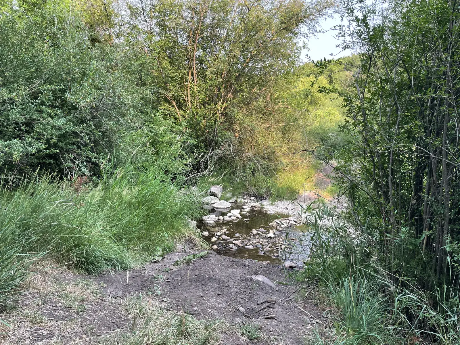 Camper-submitted photo at Secluded Maple Creek River Bottoms near Preston, ID