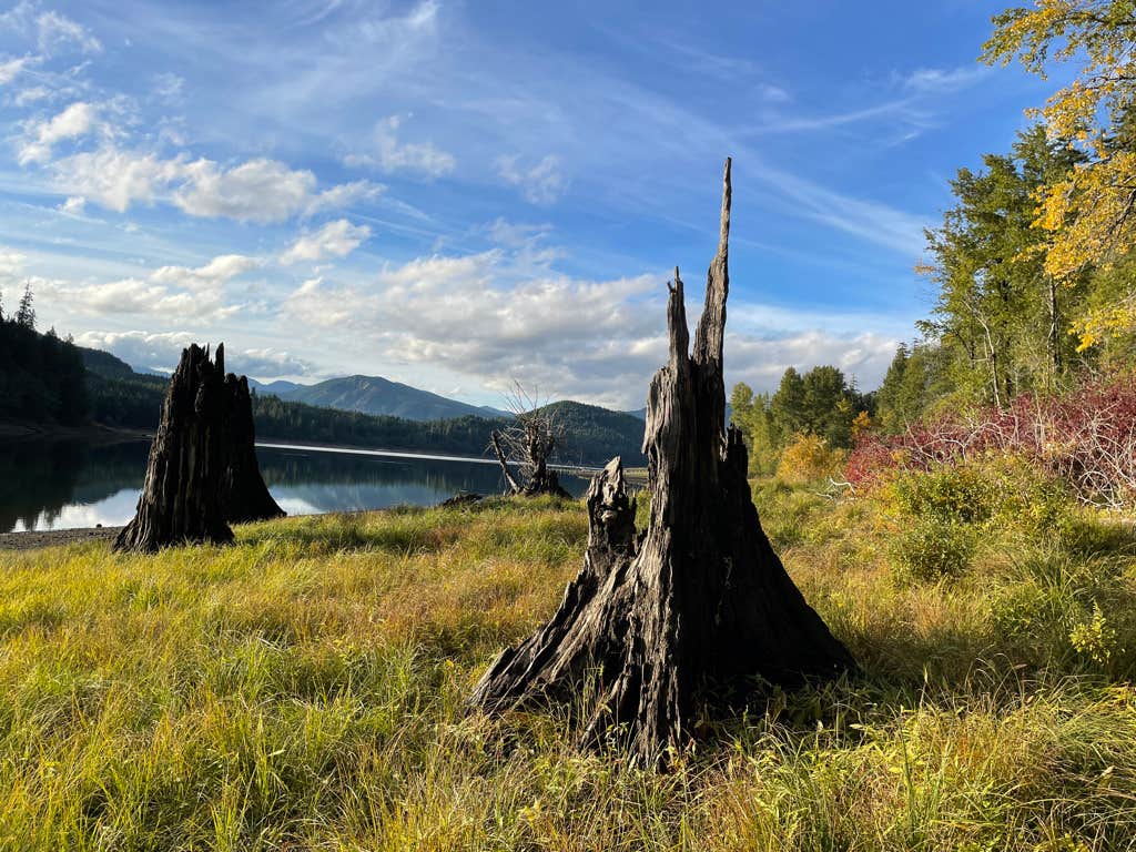 Camper-submitted photo at Merrill Lake Campground near Woodland, WA