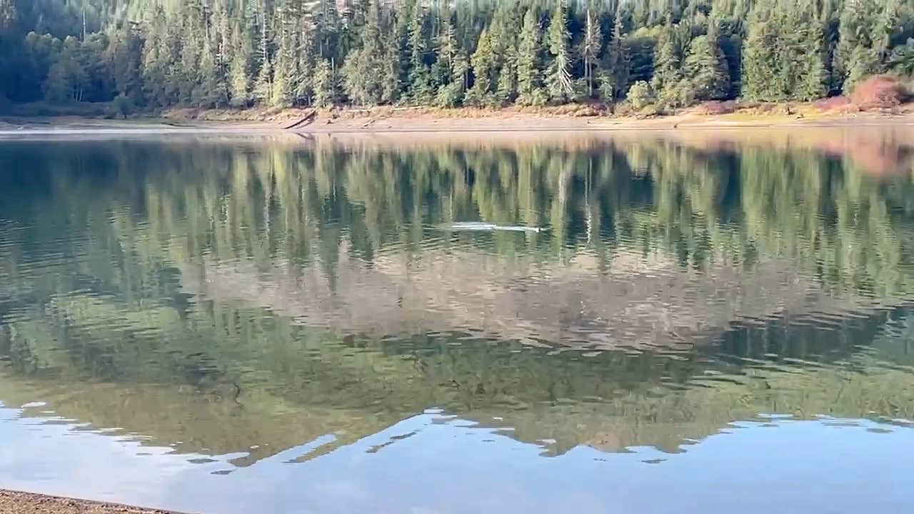 Camper-submitted photo at Merrill Lake Campground near Cougar, WA