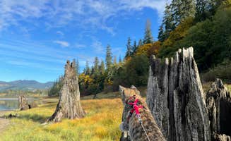 Kathy B.'s photo of camping with pets at Merrill Lake Campground near Cougar, WA