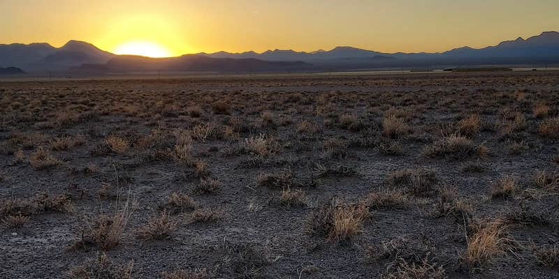 Camper submitted image from Area 51 Stake Out - Dreamland Camp